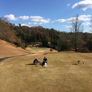 ゴルフ仲間募集 Let's golf!
