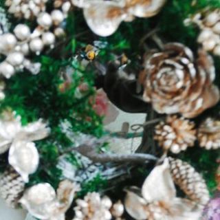 クリスマスリース　軽いラタンで作りませんか?
