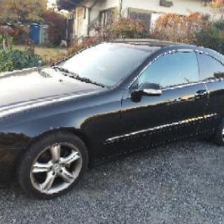 メルセデスベンツ CLK200コンプレッサー アバンギャルド人気黒の画像