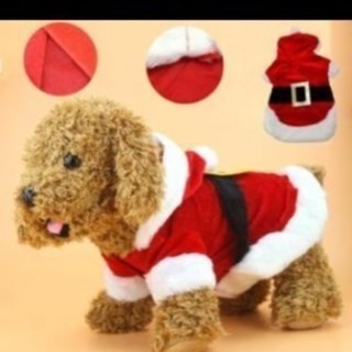 サンタ服Sサイズと Mサイズ有りますの画像