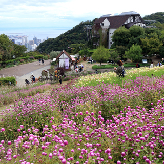 初心者のフォトワークショップ開催します