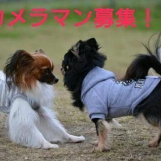 カメラマン募集します(*^^*)