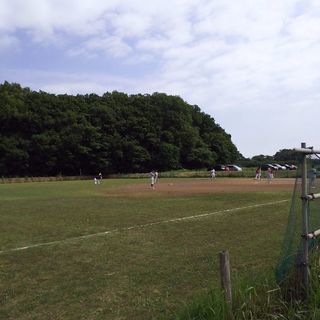 ソフトボールのメンバー募集。