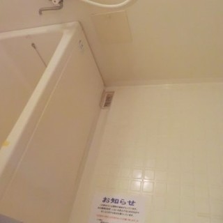【初期費用２万円】しっかりした広さの２LDK【ご案内できますよ】 - 賃貸（マンション/一戸建て）