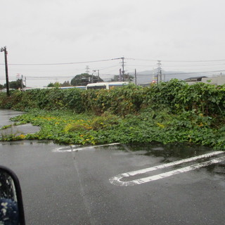 パチンコ屋の草刈り