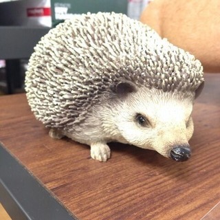 新しいSNSの参加メンバー大募集中