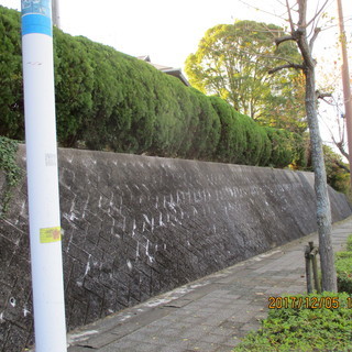 よう壁面の剪定作業