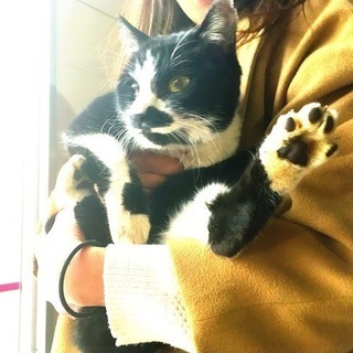 報告があります − 福島県