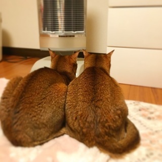 海外転勤の為 − 滋賀県