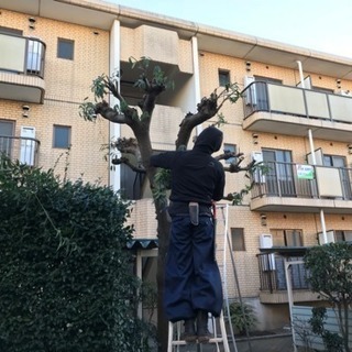 庭の手入れ致します。【所沢市 朝霞市 東久留米市 狭山市 飯能市など】