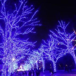 写真倶楽部