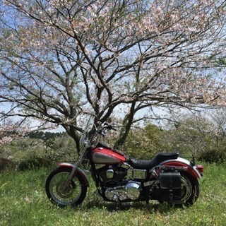 平日バイクツーリング行きませんか？