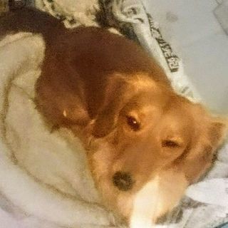 アラフィフです。 同性の友だち。