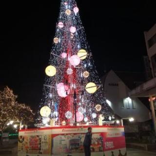高知県内ひろめ市場に集まれ!