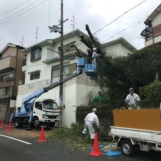 庭木の剪定 大阪府 寝屋川市 枚方市 交野市の画像