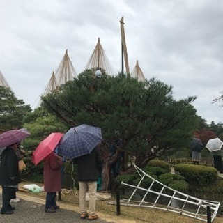 庭木の剪定 大阪府 寝屋川市 枚方市 交野市 − 大阪府