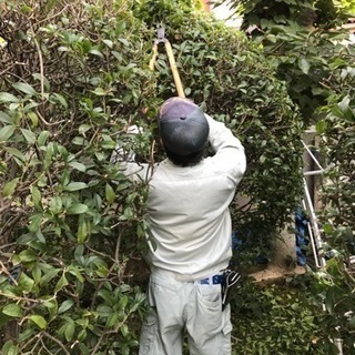庭木の剪定 大阪府 寝屋川市 枚方市 交野市 - 地元のお店