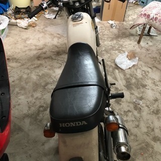 エイプ100の画像