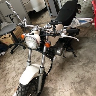 エイプ100の画像