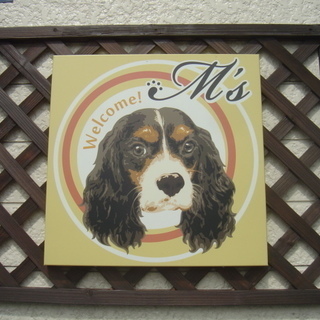 トリマーさん募集♪