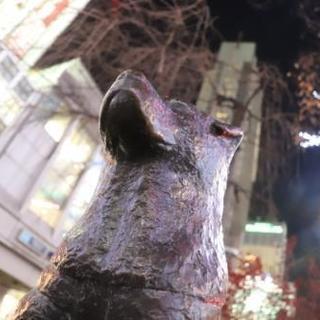 写真倶楽部 - メンバー募集