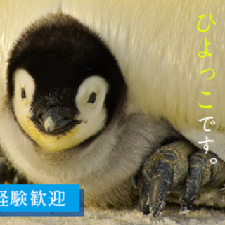 未経験者歓迎！　製造・検査等のお仕事　月収250,000円以上可