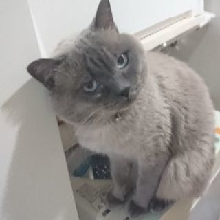 友達が欲しいな(￣▽￣)