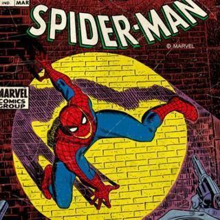 MARVEL好きな人