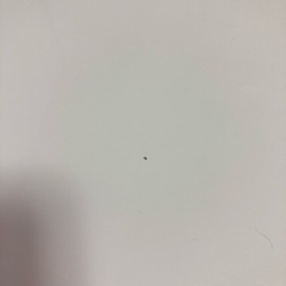 12/17まで！ローテーブル センターテーブル ニトリ ホワイトの画像