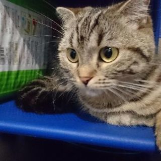 ☆世田谷区三宿にて。明日から❗12/15(金)、16(土)の2d...
