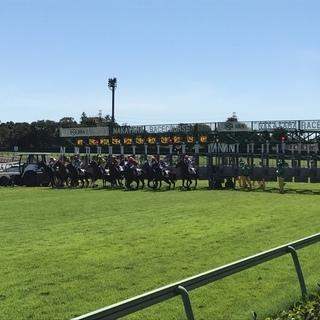 【20代限定】競馬を一緒に楽しめるLINEグループメンバー募集！