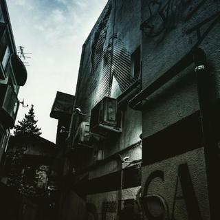 カメラ、写真仲間募集