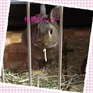 ふわり日向ぼっこの仲間になりませんか(*^ω^*)