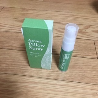 生活保護で天涯孤独
