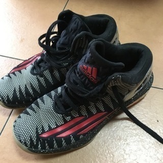 アディダスのバッシュ‼️の画像