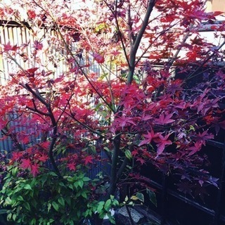 昭和体験や教室やワークショップなどに利用できます。の画像