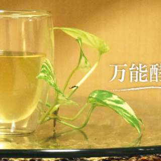 万能酵母液と納豆菌水の作り方＆おさらいワークショップ