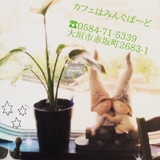 たまに入れるカフェ店員さん1名募集！(土日)
