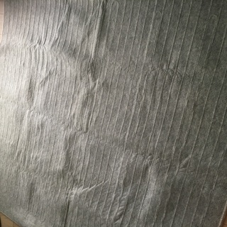 ホットカーペットの画像