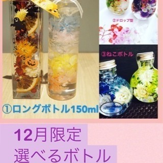 植物標本★ハーバリウム体験レッスン