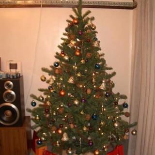 ヨーロッパ調の本格的なクリスマスツリーの画像