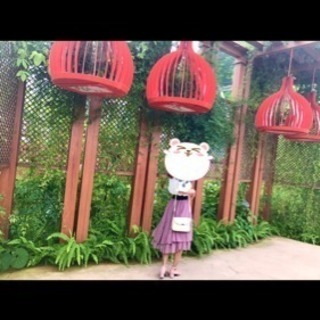 スカート freeサイズの画像