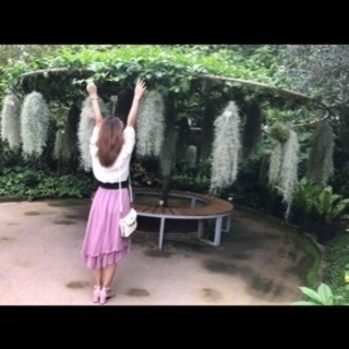 スカート freeサイズの画像