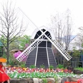 ワンピースの画像