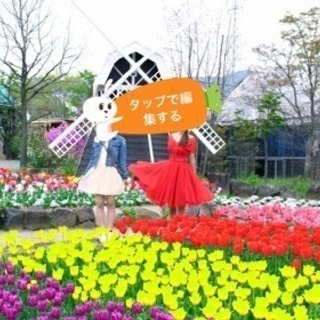 ワンピースの画像