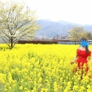 ワンピースの画像