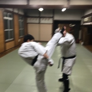 フルコンタクト空手サークル 豊中拳友会の画像