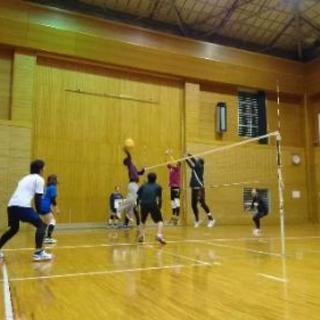 ソフトバレーしませんか？(^-^) - スポーツ