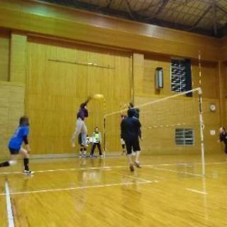 ソフトバレーしませんか？(^-^) - メンバー募集