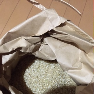 富山県産コシヒカリ 未検査米  新米  古米の画像